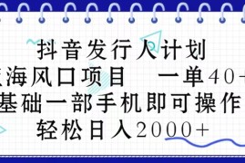 很火短视频运营项目，抖音发行人计划，蓝海风口项目 一单40，0基础一部手机即可操作 日入2000＋