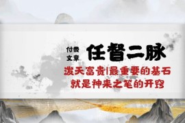 赚钱创业项目项目，某付费文章《任督 二脉 泼天富贵|最重要的基石 就是神来之笔的开窍|万字》