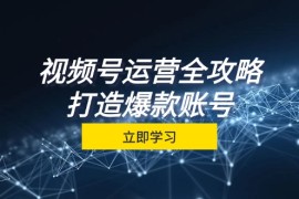 2024最新（12912期）视频号运营全攻略，从定位到成交一站式学习，视频号核心秘诀，打造爆款&#8230;10-11中创网