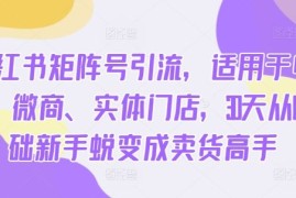 创业项目小红书矩阵号引流，适用于电商、微商、实体门店，30天从0基础新手蜕变成卖货高手10-13冒泡网