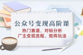 每天公众号变现高阶课：热门赛道、对标分析、广告主变现流程、矩阵玩法02-15福缘网