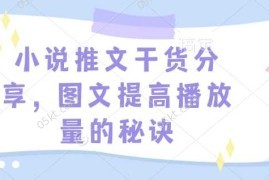 2024最新小说推文干货分享，图文提高播放量的秘诀01-03冒泡网