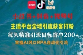 每天（14484期）小红书、抖音、视频号全域多平台引流获客，日引目标客户200+，RPA自动&#8230;03-11中创网