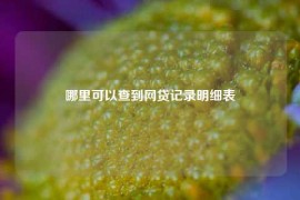 哪里可以查到网贷记录明细表