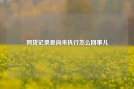 网贷记录查询未执行怎么回事儿