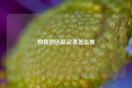 网贷的还款记录怎么查