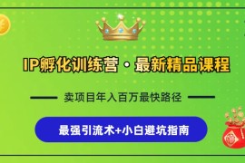 创业项目（13055期）IP孵化训练营，知识付费全流程+最强引流术+小白避坑指南10-21中创网