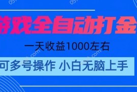 （11201期）游戏自动打金搬砖，单号收益200 日入1000+ 无脑操作，06月23日中创网VIP项目