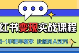 热门项目小红书推广实战训练营，小红书从0-1“变现”实战课程，教你月入过W【揭秘】11-06冒泡网