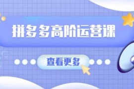 每日（14327期）拼多多高阶运营课：极致群爆款玩法，轻付费无尽复制，打造单品爆款之路02-26中创网