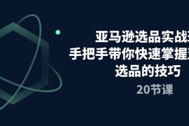 实战跨境电商项目，亚马逊选品实战班，手把手带你快速掌握亚马逊选品的技巧