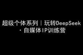 手机项目超级个体系列，玩转DeepSeek·自媒体IP训练营，deepseek教程03-07冒泡网
