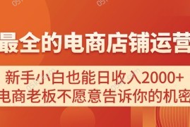 （11266期）电商店铺运营教学，新手小白也能日收入2000+，电商老板不愿意告诉你的机密，06月25日中创网VIP项目