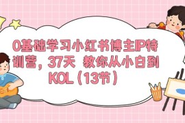 很火小红书项目，0基础学习小红书博主IP特训营，37天 教你从小白到KOL