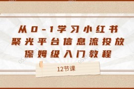 简单项目从0-1学习小红书聚光平台信息流投放，保姆级入门教程（12节课）便宜08月06日福缘网VIP项目