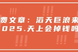 手机创业付费文章：滔天巨浪来袭！2025天上会掉钱吗？02-08冒泡网