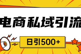 最新项目电商引流获客野路子全平台暴力截流获客日引500+11-26福缘网