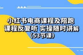 实战小红书项目，(10170期）小红书电商课程陪跑课 课程反复听 实操随时讲解 