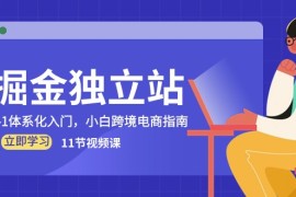 最新跨境电商项目，掘金 独立站，0-1体系化入门，小白跨境电商指南