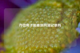 办信用卡能查到网贷记录吗