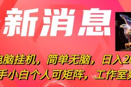 实操热门给力项目项目，最新电脑挂机，简单无脑，日入2000+适合新手小白个人可矩阵，工作室模...