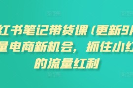 小红书笔记带货课(更新25年4月)流量电商新机会，抓住小红书的流量红利