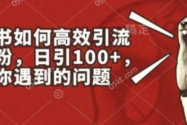 小红书如何高效引流创业粉，日引100+，解决你遇到的问题【揭秘】，06月24日冒泡网VIP项目