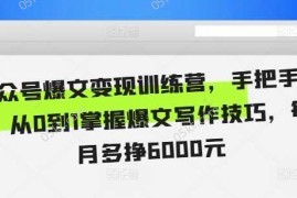 2024最新公众号爆文变现训练营，手把手教你，从0到1掌握爆文写作技巧，每个月多挣6000元11-17冒泡网