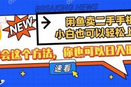 （14221期）闲鱼卖二手手机，小白也可以轻松上手，学会这个方法，你也可以日入800+