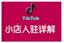 最新项目TikTok跨境小店运营全攻略，帮助你独立运营TK跨境小店的能力，实现销量增长01-06冒泡网