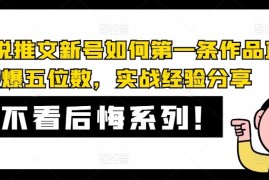 每日AI小说推文新号如何第一条作品直接爆五位数，实战经验分享便宜08月06日冒泡网VIP项目