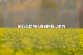 银行征信可以查到网贷记录吗