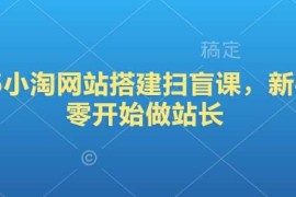 赚钱项目2025小淘网站搭建扫盲课，新手从零开始做站长02-07冒泡网