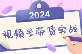 每天（12612期）2024视频号最新带货实战课：无人直播/书单号卖货/个人IP口播(附资料素材)09-16中创网