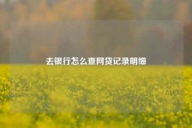 去银行怎么查网贷记录明细