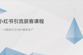 最新小红书项目，小红书引流获客课程：0基础日引100+精准客户