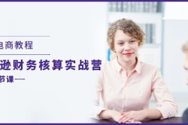 热门项目（11706期）跨境电商教程：亚马逊-财务核算实战营（28节课）便宜07月20日中创网VIP项目