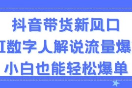 每日（11401期）抖音带货新风口，AI数字人解说，流量爆炸，小白也能轻松爆单，07月03日中创网VIP项目
