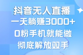 2024最新（13038期）抖音无人直播，一天躺赚3000+，0粉手机就能做，新手小白均可操作10-20中创网