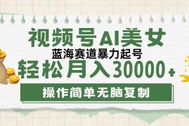简单项目（12087期）视频号AI美女跳舞，轻松月入30000+，蓝海赛道，流量池巨大，起号猛，无&#8230;便宜08月10日中创网VIP项目