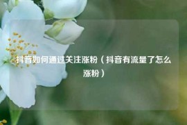 抖音如何通过关注涨粉（抖音有流量了怎么涨粉）