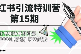 实操小红书项目，小红书引流特训营-第15期，小红书矩阵号月引流80000+到微信
