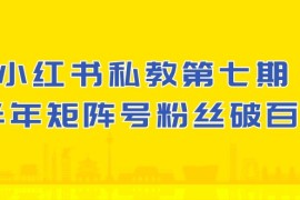 赚钱小红书项目，(10650期）小红书-私教第七期，小红书90天涨粉18w，1周涨粉破万 半年矩阵号粉丝破百万