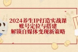 养生IP打造实战课，账号定位与搭建，解锁自媒体变现新策略与抖音号运营