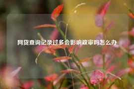 网贷查询记录过多会影响政审吗怎么办