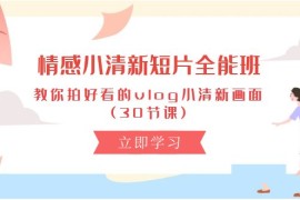 实战短视频运营项目，情感 小清新短片-全能班，教你拍好看的vlog小清新画面 (30节课)