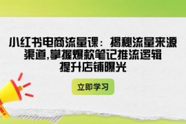 赚钱项目（14318期）小红书电商流量课：揭秘流量来源渠道,掌握爆款笔记推流逻辑,提升店铺曝光02-25中创网