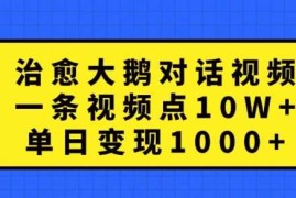 热门项目治愈大鹅对话视频，一条视频点赞10W+，单日变现1k+【揭秘】10-17冒泡网
