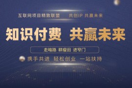 2024最新（13944期）2025年如何通过“知识付费”卖项目月入十万、年入百万，布局2025与&#8230;01-08中创网