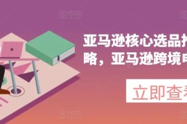 最新项目亚马逊核心选品推广新攻略，亚马逊跨境电商教程便宜07月05日冒泡网VIP项目